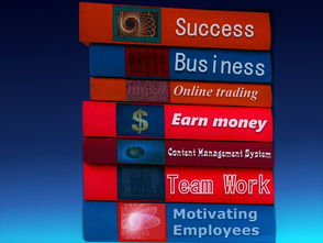 华体会网址-中国篮球职业联赛经济效益提升路径及风险管理，中国篮球职业联赛的看法