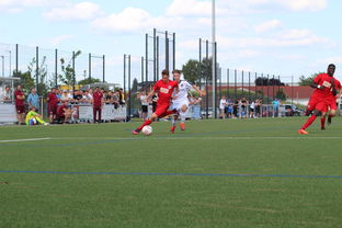 华体会app注册-特色足球运动场设计结合智慧城市理念，实现多功能利用，趣味足球场设计